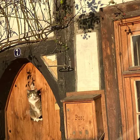 Blaues Haeuschen 아파트