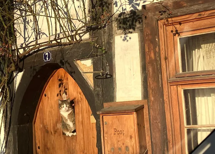 Blaues Haeuschen Lägenhet